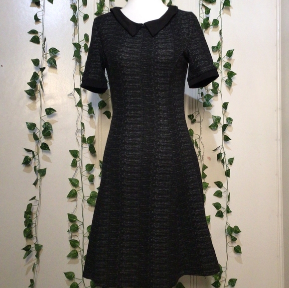 Divided Dresses & Skirts - Black Collared Dress (H&M 8)